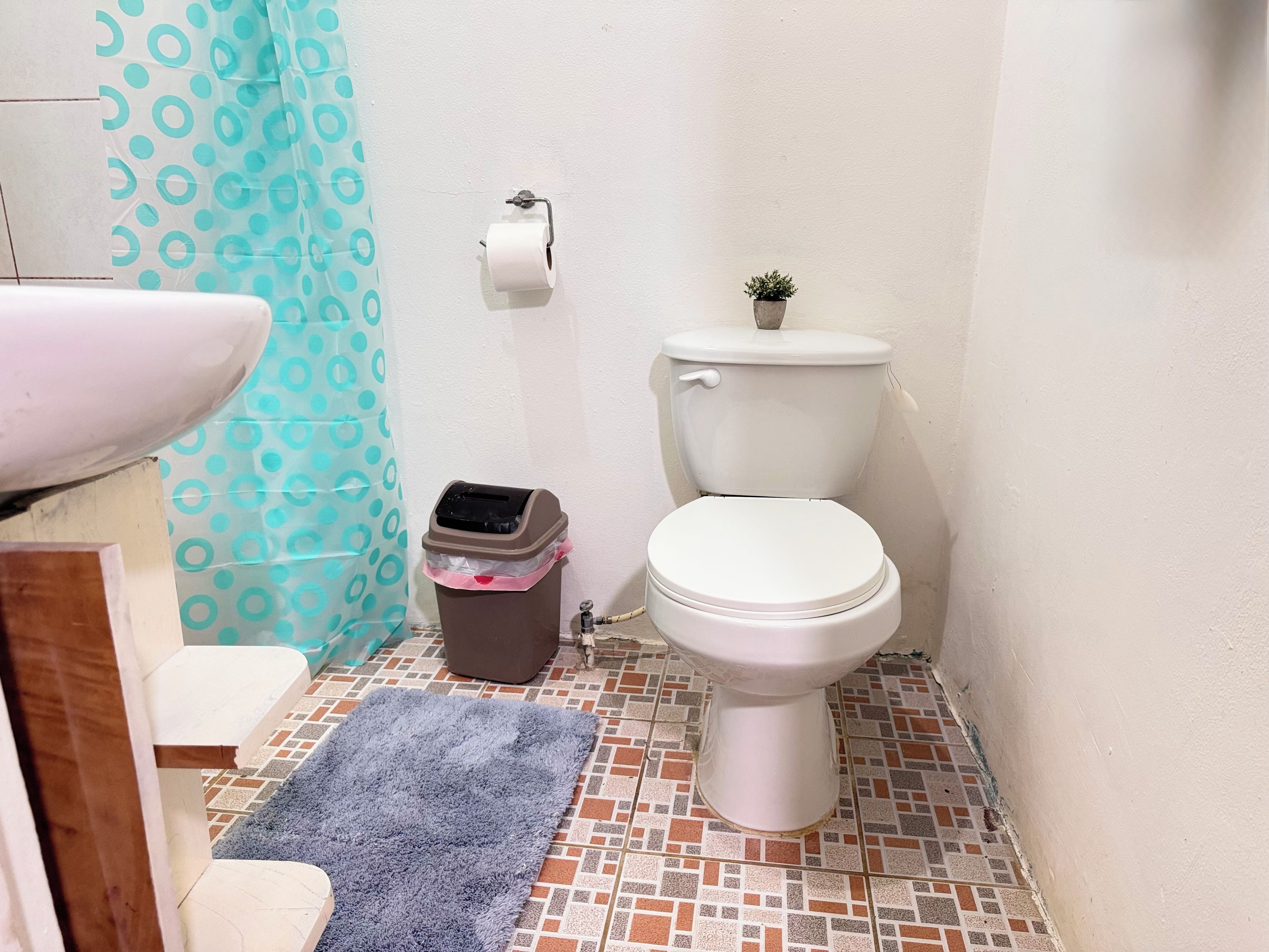 Un baño con inodoro, lavamanos, cortina de ducha y un cubo de basura.