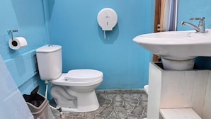 Un baño con inodoro, lavabo y dispensador de papel higiénico en la pared.