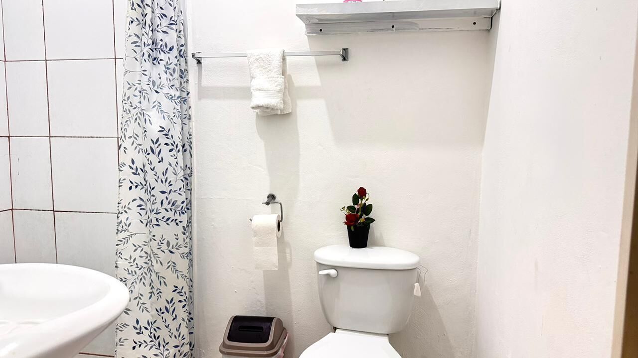 Un baño con un inodoro, un pequeño cubo de basura, un rollo de papel higiénico y una planta en maceta sobre el inodoro.