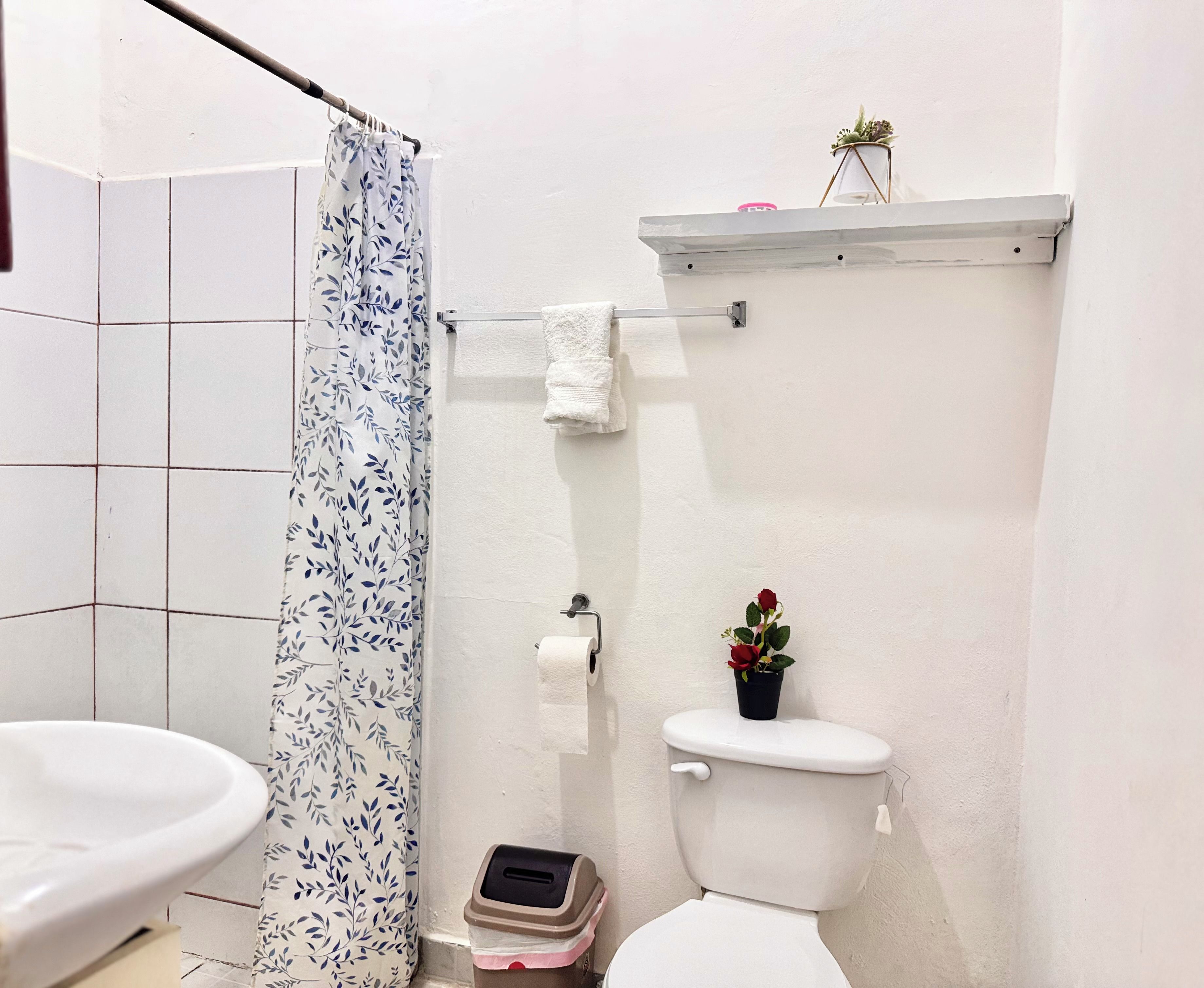 A bathroom with a toilet, a shower curtain, a toilet paper holder, a small potted plant, and a trash bin.