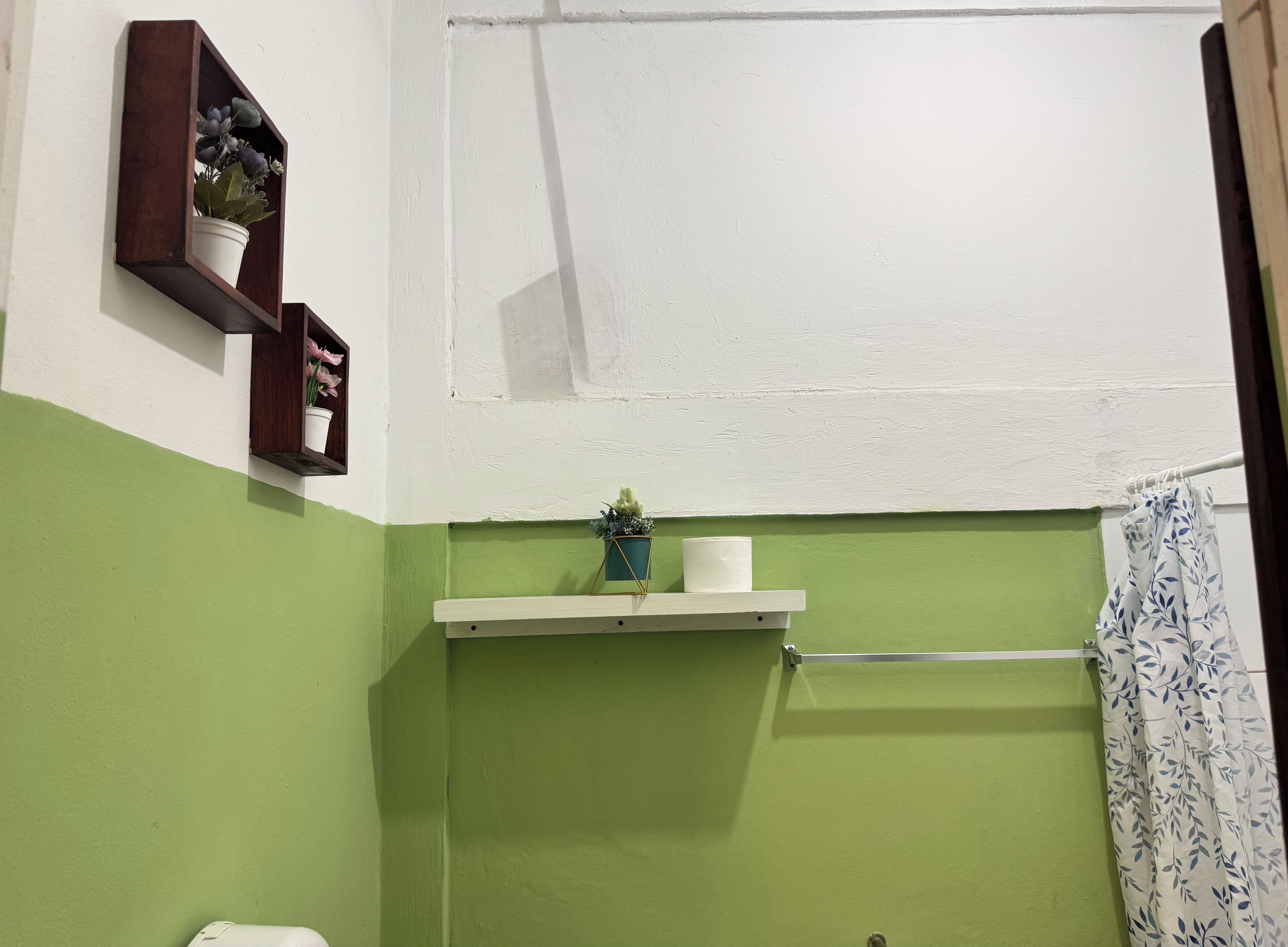 A bathroom with green walls, a white door, and a shower curtain with a leaf pattern.