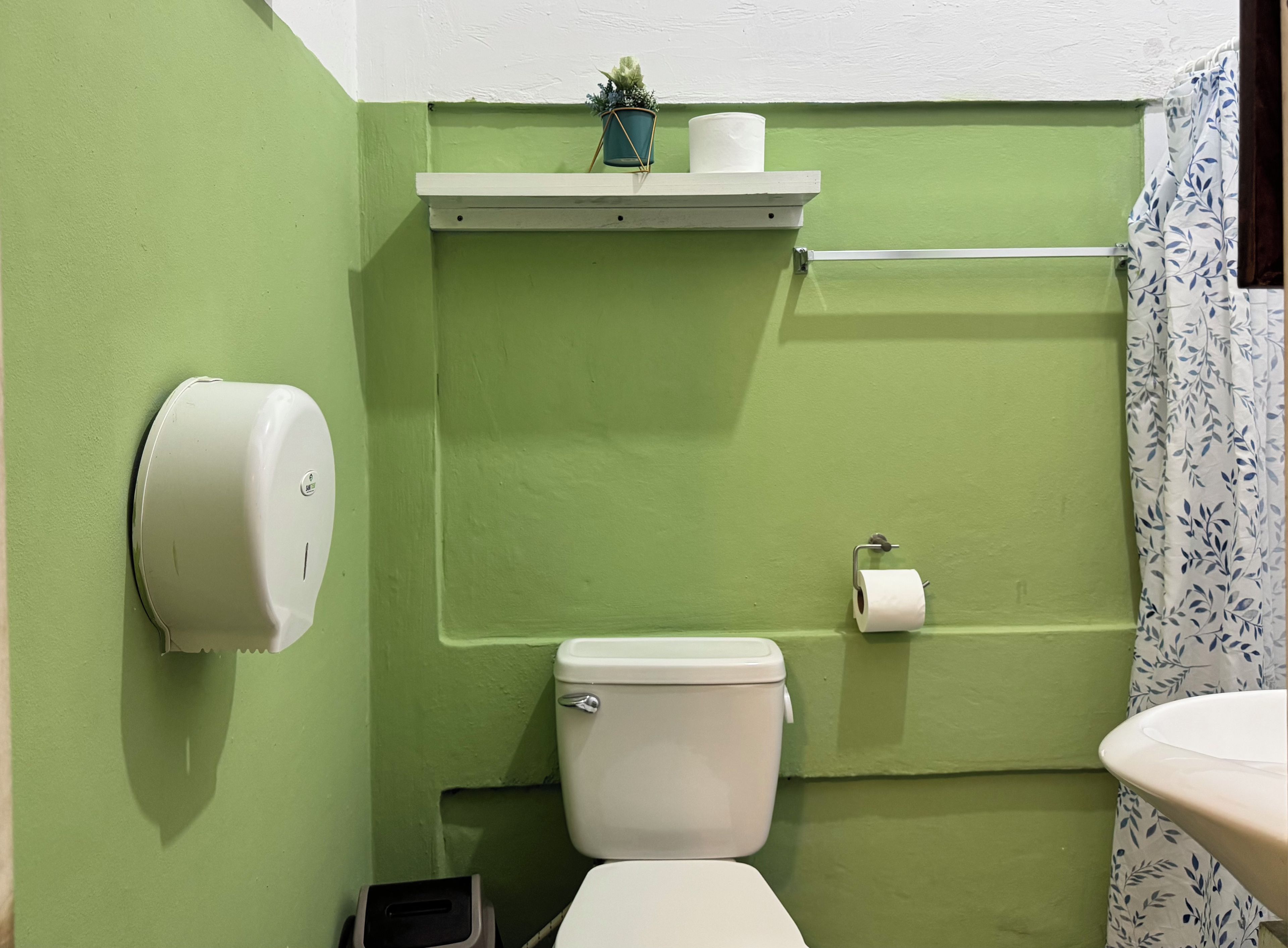 Un baño pequeño con inodoro, secamanos, repisa con una planta y un rollo de papel higiénico, y cortina de ducha.