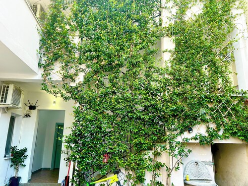 Tirana Budget Retreat Hotel 