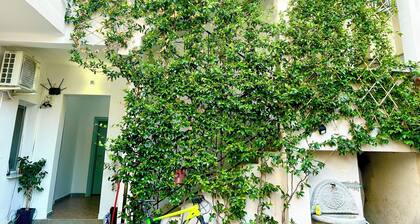 Tirana Budget Retreat Hotel