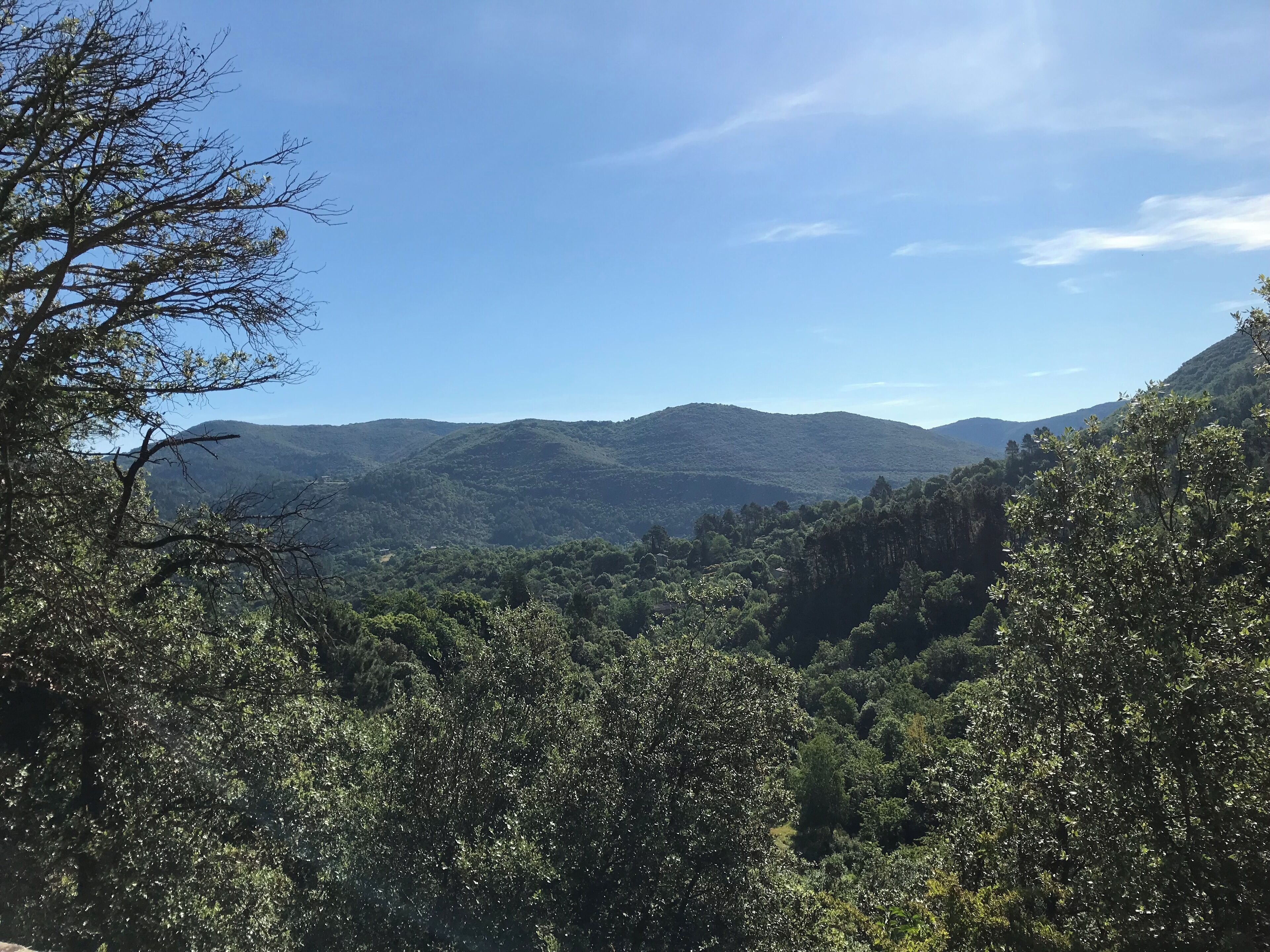 A mountainous landscape with dense forest and clear skies.