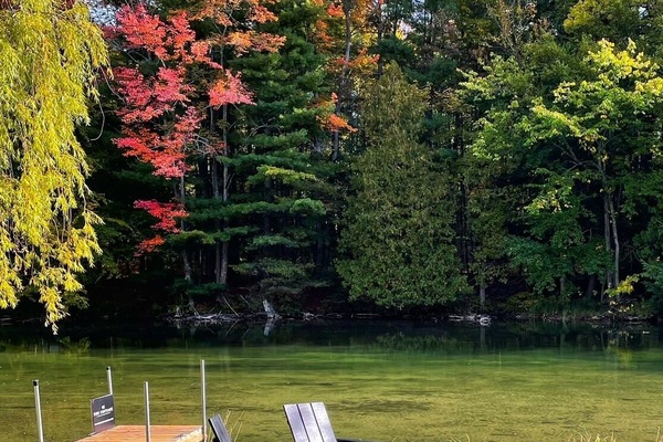 BBQ/picnic area
