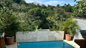 A rectangular swimming pool with a stone deck surrounding it, set against a backdrop of lush greenery and distant buildings.