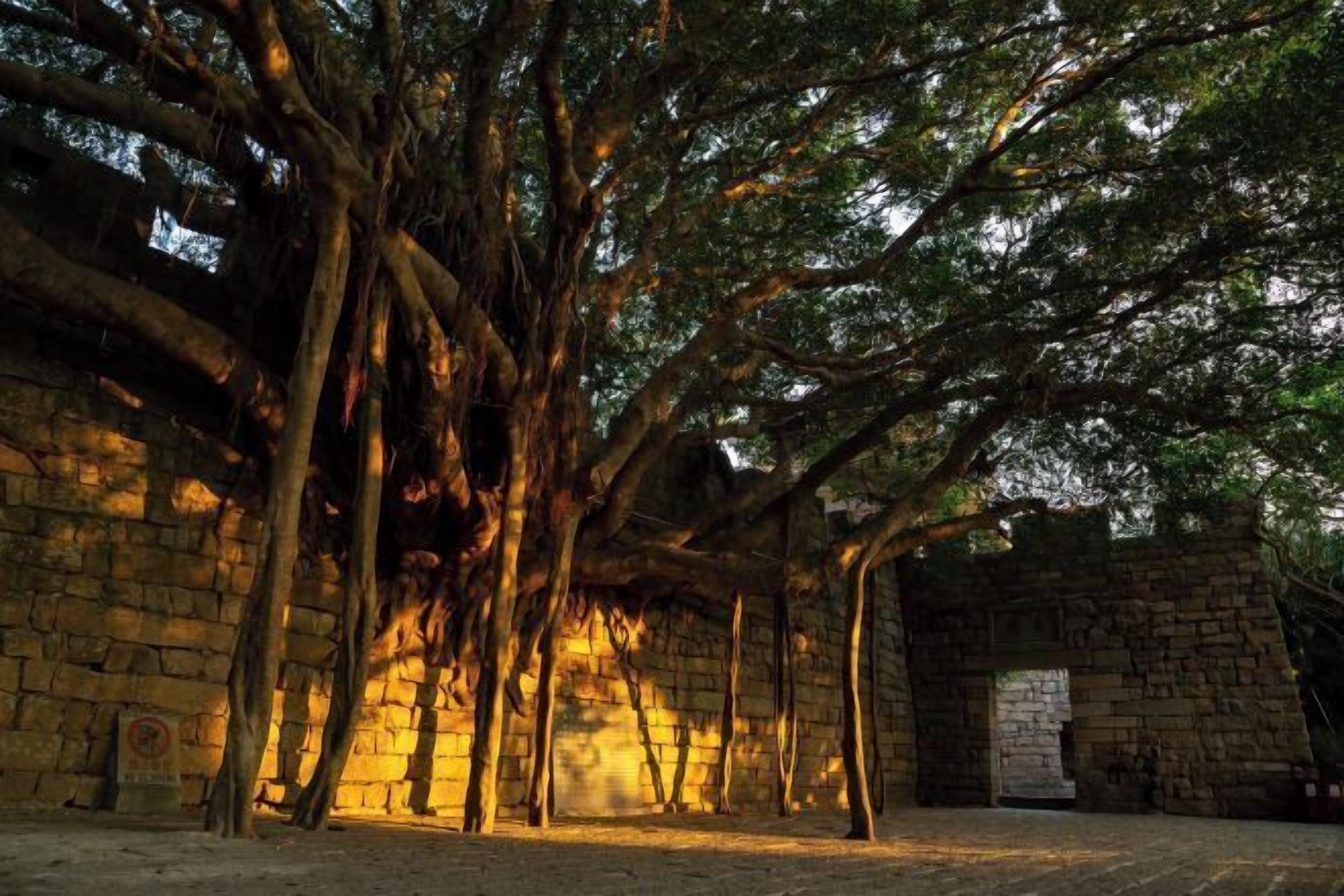 المنطقة المحيطة بالمنشأة