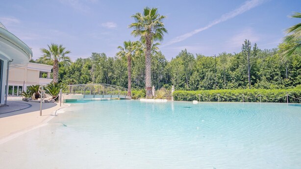 A clear blue pool with a bridge, surrounded by lush greenery and palm trees. - 02 Relais du Lac Village (Desenzano del Garda)