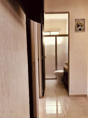 Shower, hair dryer, bidet, towels