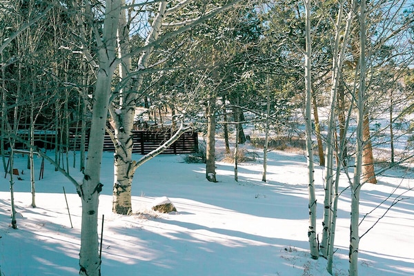 Àrea exterior de l'allotjament