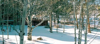 Tiny House in the Big Mountains with Hot Tub & EV Charger! Near CO Springs!