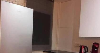 Nice Family Apartment