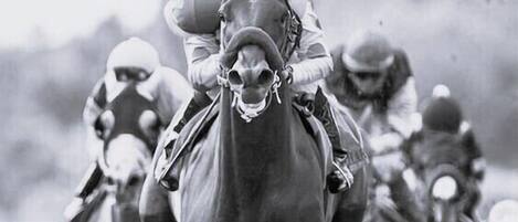 Una carrera de caballos con jinetes a lomos.