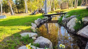 Un estanque con rocas y narcisos, rodeado de hierba y árboles.