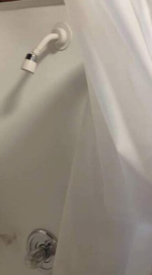 Shower, towels, shampoo, toilet paper
