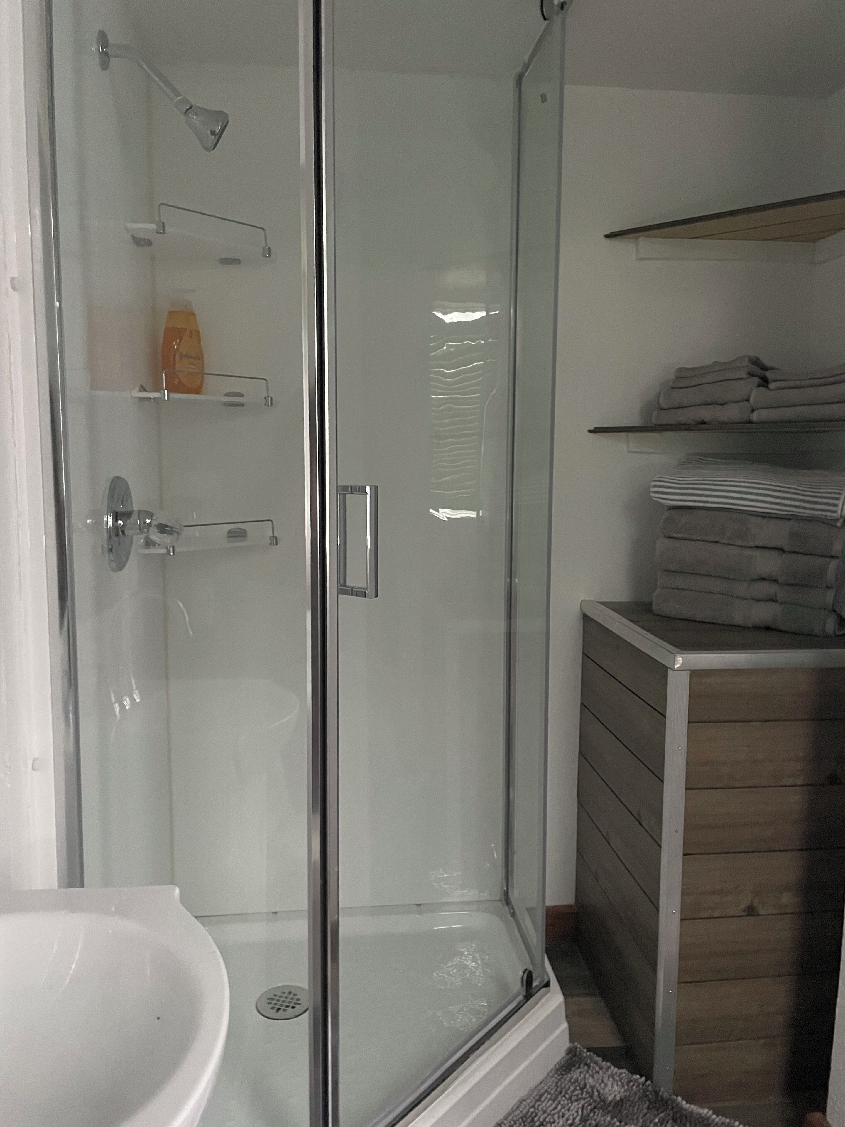 Shower, hair dryer, towels, soap