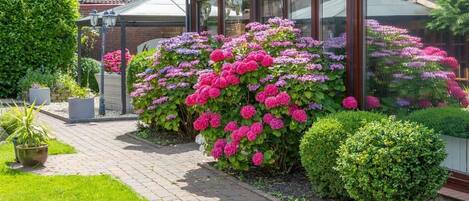 A garden with a brick pathway, a wooden pergola, and a variety of flowering shrubs.