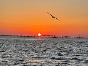 Photo non classée, 3 sur 37, bouton