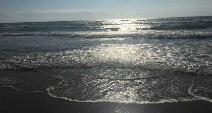 Beach Access Steps Away: Your South Padre Retreat