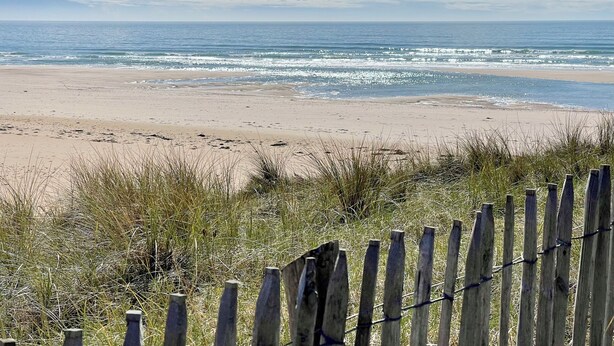 Una playa con una valla de madera en primer plano y el océano al fondo.