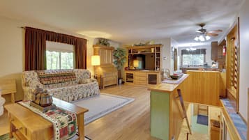 TV, fireplace, books
