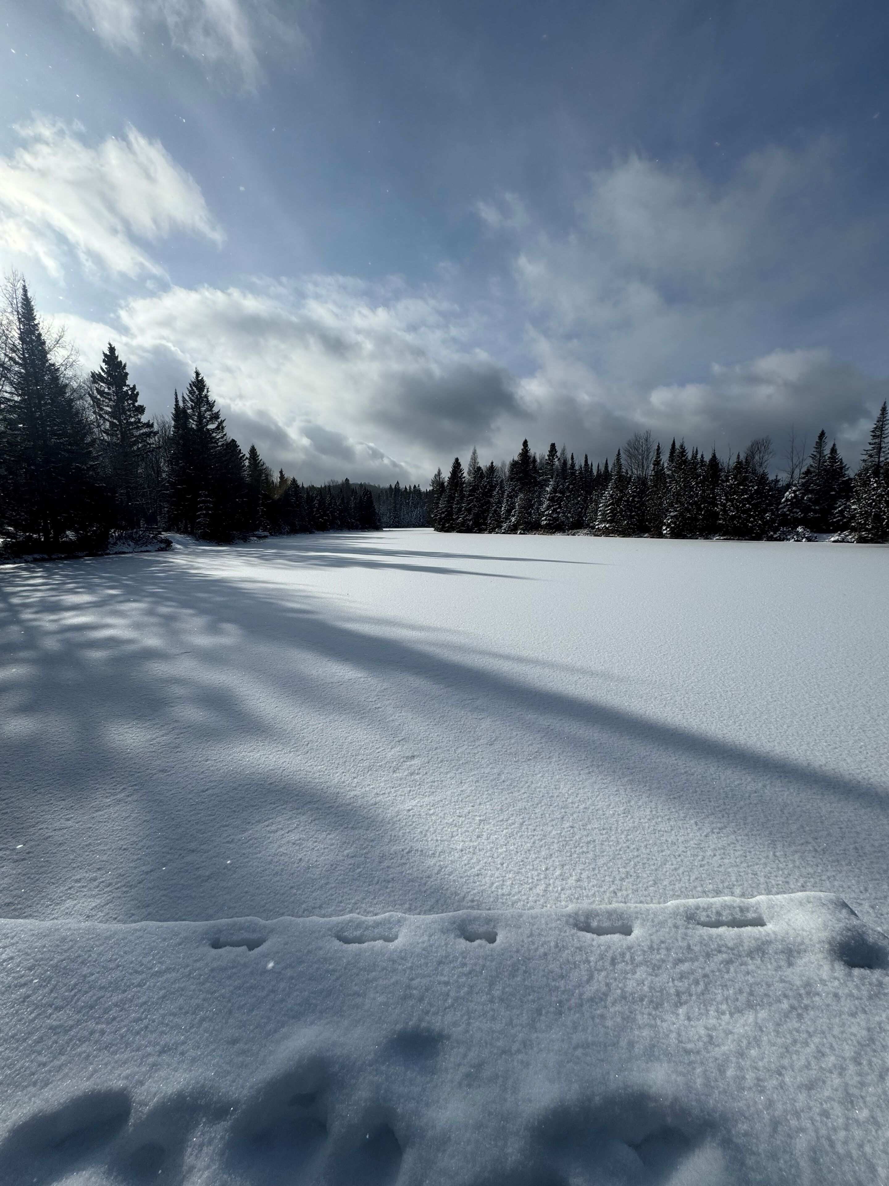 A snow-covered landscape with a clear sky and trees in the background.