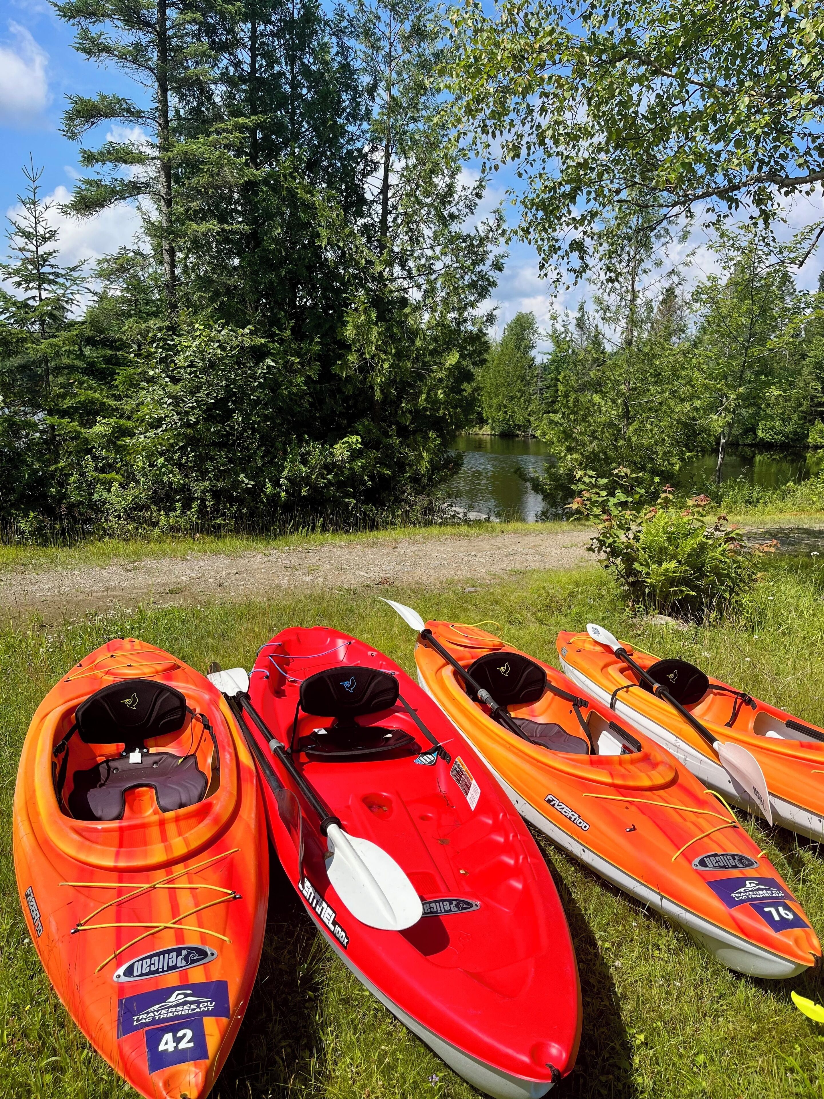 Three kayaks lined up on grass near a lake surrounded by trees.