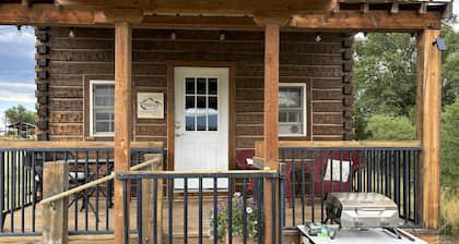 Charming Creekside Cabin next to 4 Mile Creek with mountain views. Dog friendly!