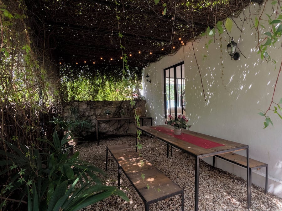 Garden