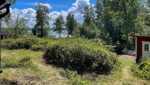 Paesaggio naturale con un cespuglio, alberi e un piccolo edificio rosso.