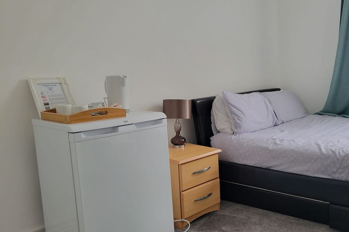 Classic Room, 1 King Bed, Non Smoking, Park View | Iron/ironing board, free WiFi