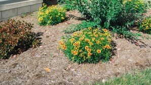 Un porche cubierto con barandilla blanca, rodeado de un jardín con diversas plantas y flores.