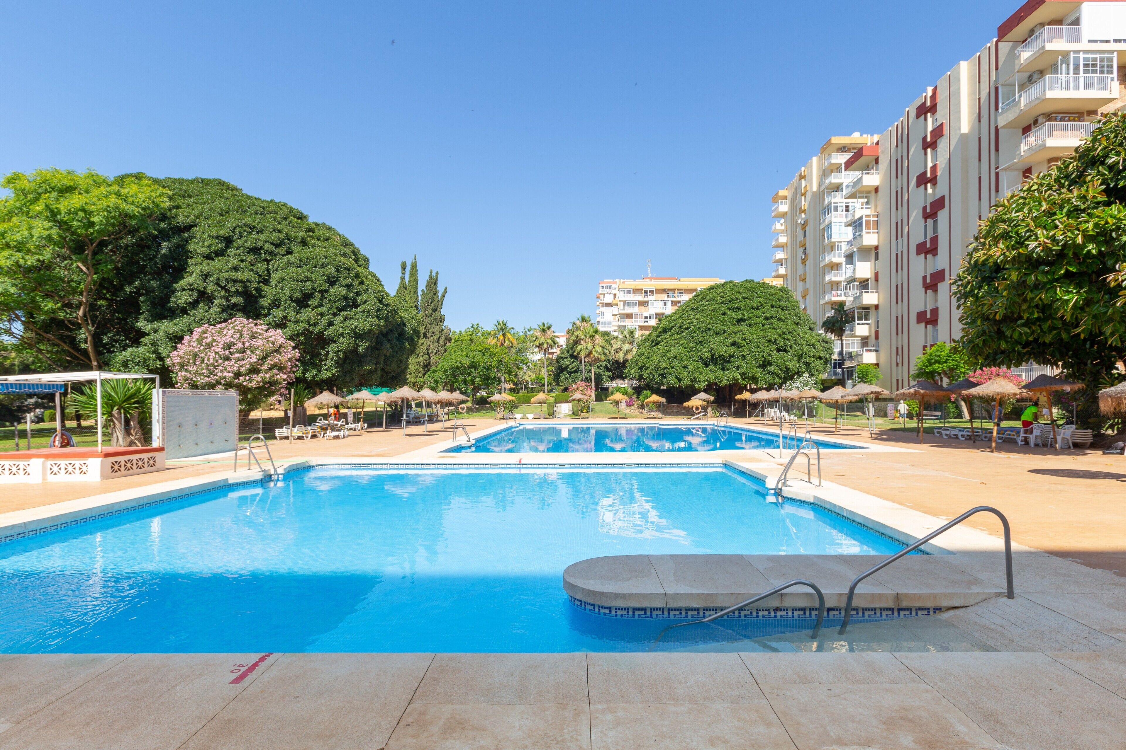 Una piscina con solárium, rodeada de árboles y un edificio de varios pisos.