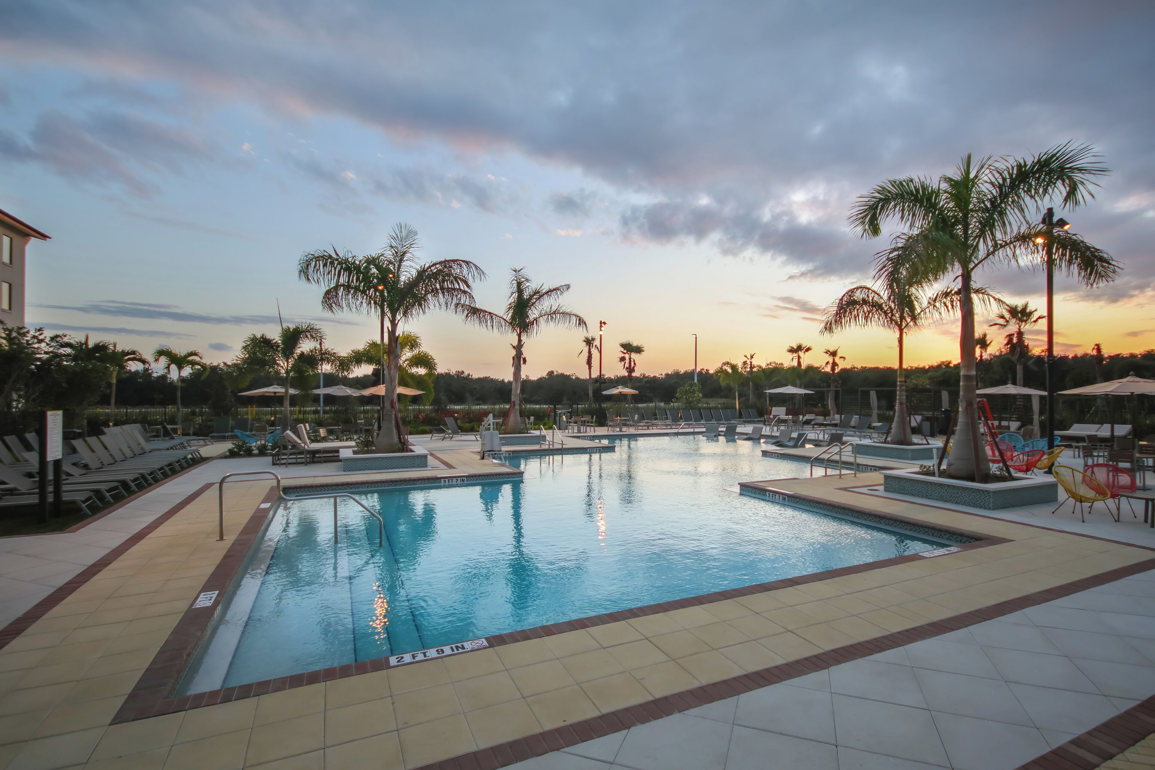 A swimming pool with lounge chairs and umbrellas, surrounded by palm trees.