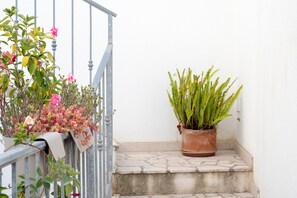 Une plante en pot, posée sur une marche en pierre, à côté d’une rambarde en métal.