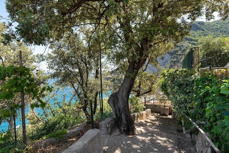 Property grounds. 'Green Amalfi Coast' Apartment with Sea View, Wi-Fi and Air Conditioning