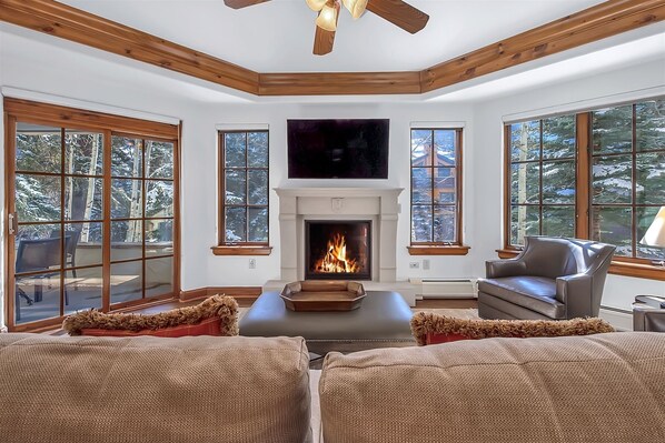 TV, fireplace, DVD player, computer monitors