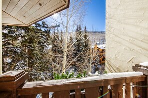 Property grounds - Austria Haus 3 BR, 242 E Meadow Dr, Vail Village (Pab)-Hot Tub, Heated Outdoor Pool (Vail)