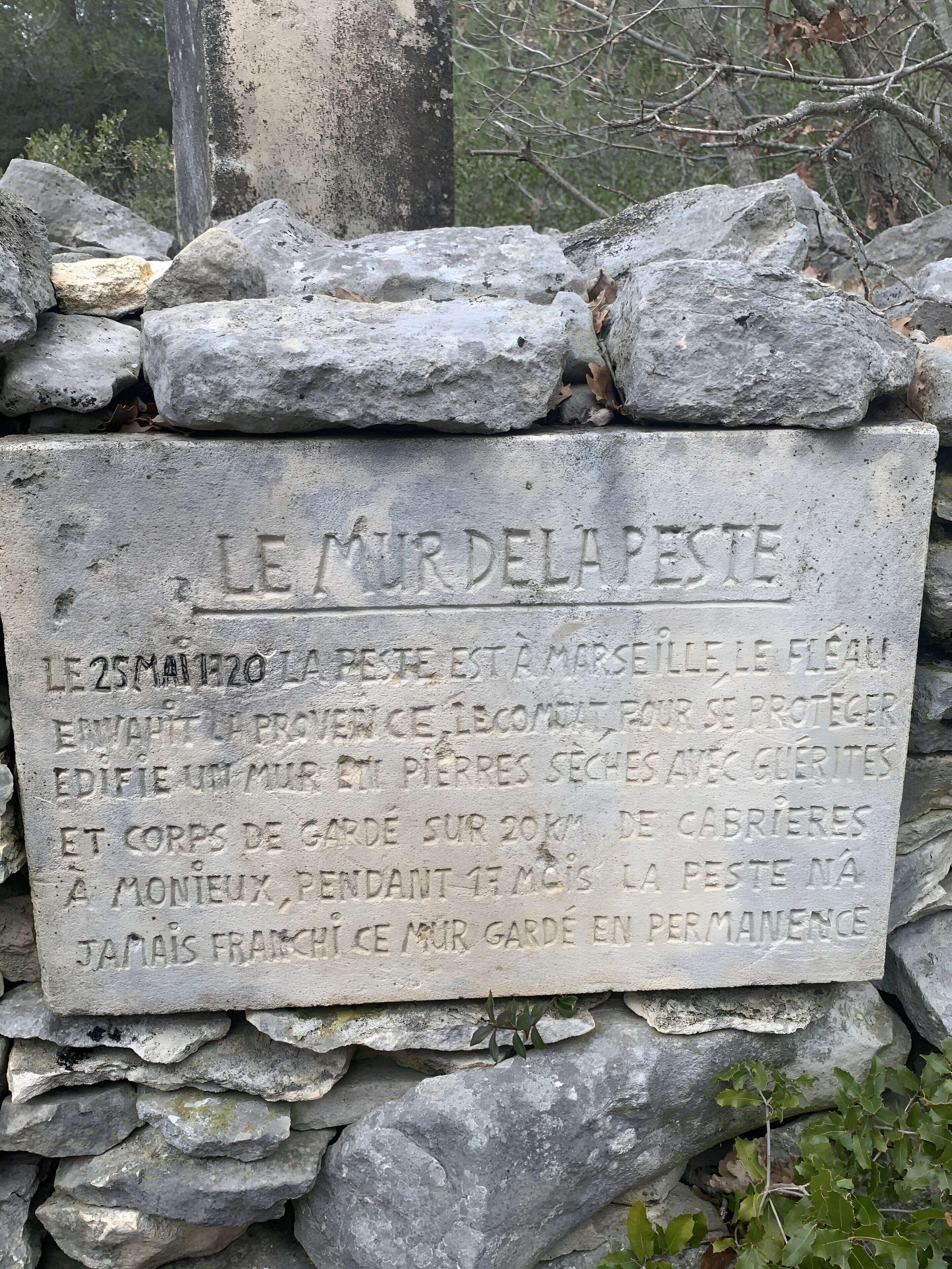 A stone monument with inscriptions, surrounded by rocks and foliage.