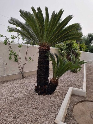 Property grounds - GuestHouse (Boscoreale)