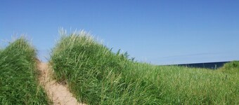 5 Min Walk To Sandy Beach! Fully equipped 3BR Beach Cottage - Pet Friendly!