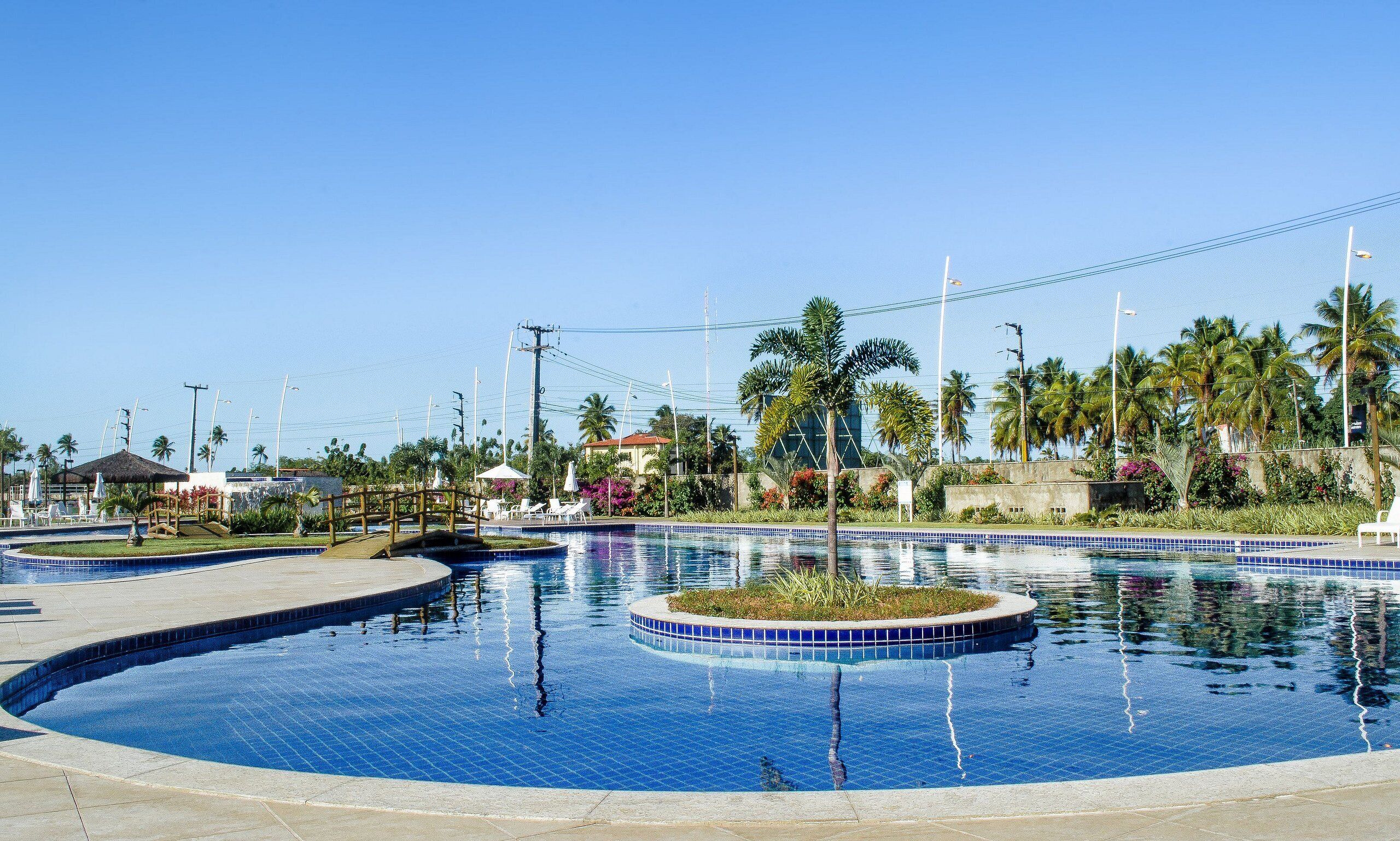 A swimming pool with a circular design, surrounded by palm trees and a clear blue sky.