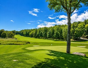 Golf - Beautiful Chalet in The Hideout, Pet Friendly, Game Room (Hamlin)