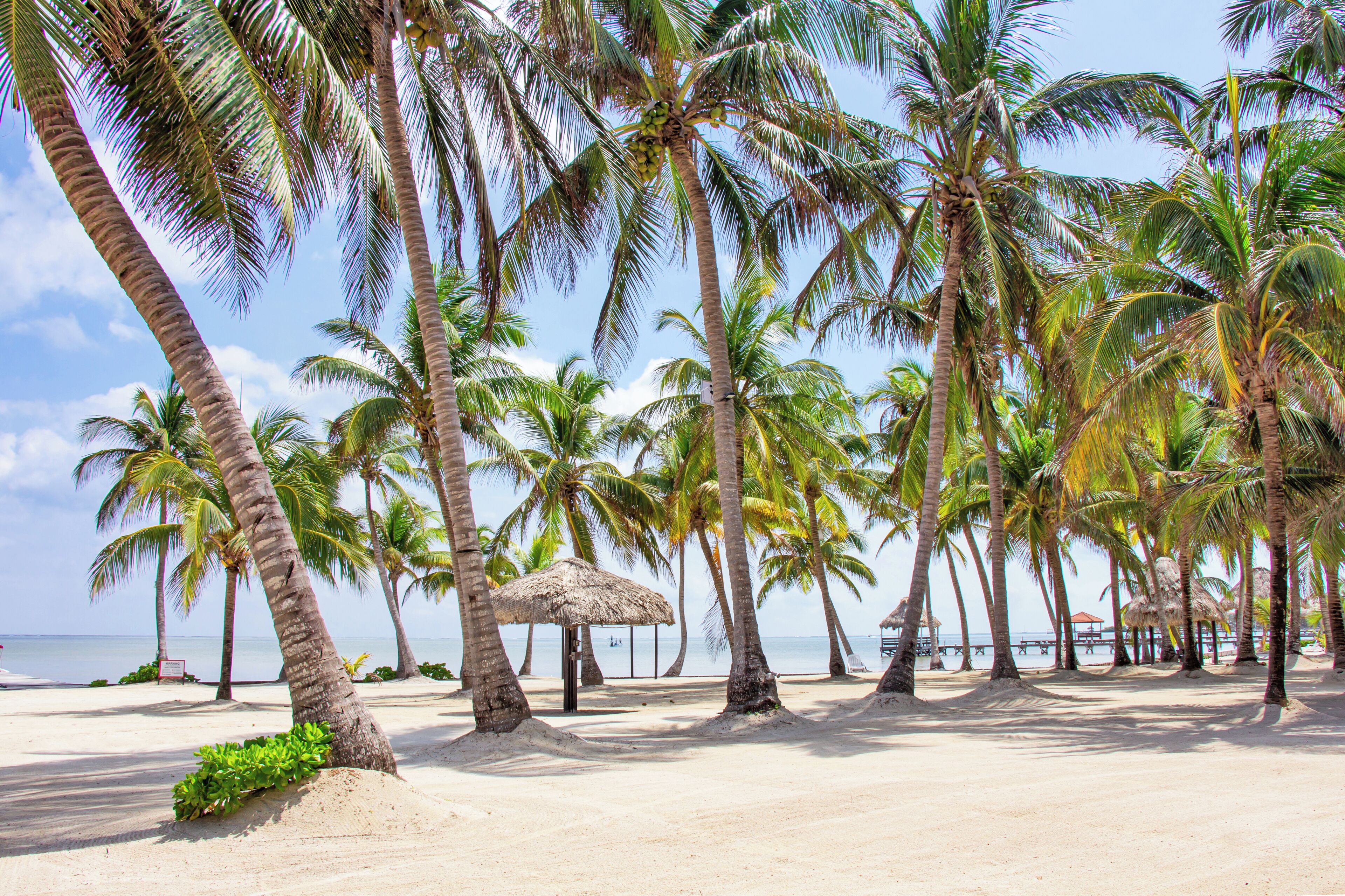 Standard Villa, Balcony, Beach View | Beach/ocean view