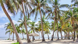 Standard Villa, Balcony, Beach View | Beach/ocean view - Villas De Isla Bonita - B3 (San Pedro)
