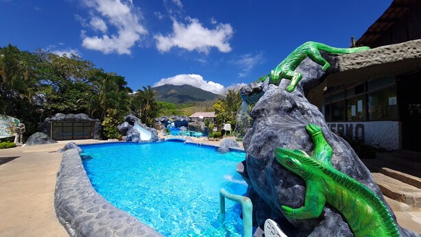 Una piscina con borde rocoso y una estatua de un cocodrilo verde.