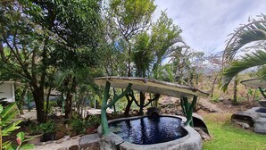 Un jardín con un elemento central de agua, rodeado de diversas plantas y árboles.