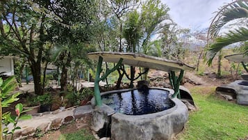 Sauna, hot tub, hot springs, mud baths, Swedish massages