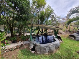 Sauna, hot tub, hot springs, mud baths, Swedish massages